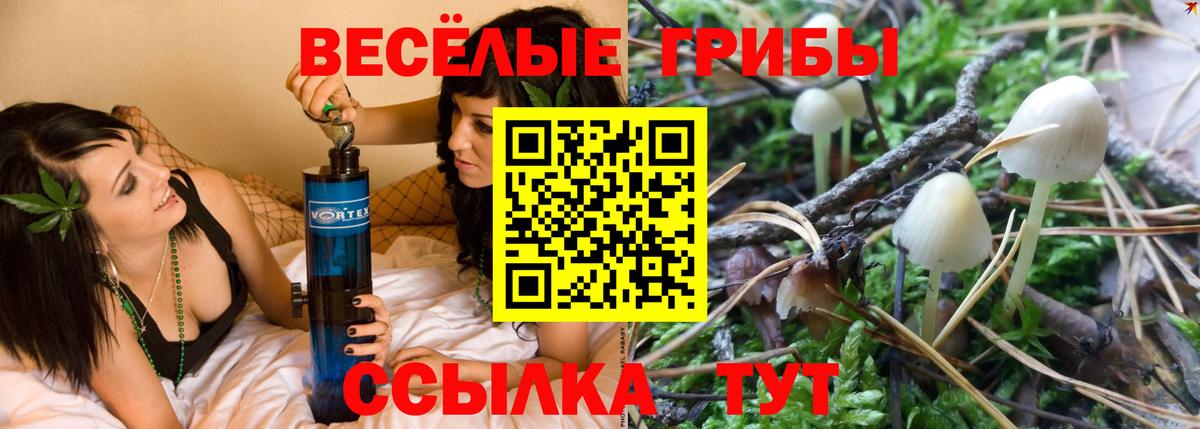 Соль-Илецк  купить закладку  Вход с VPN  Псилоцибиновые грибы ЛСД 